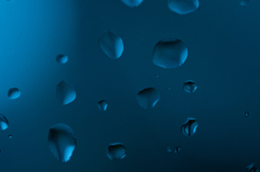 雨で撮影できないねぇ(´･ω･`)