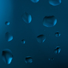 雨で撮影できないねぇ(´･ω･`)