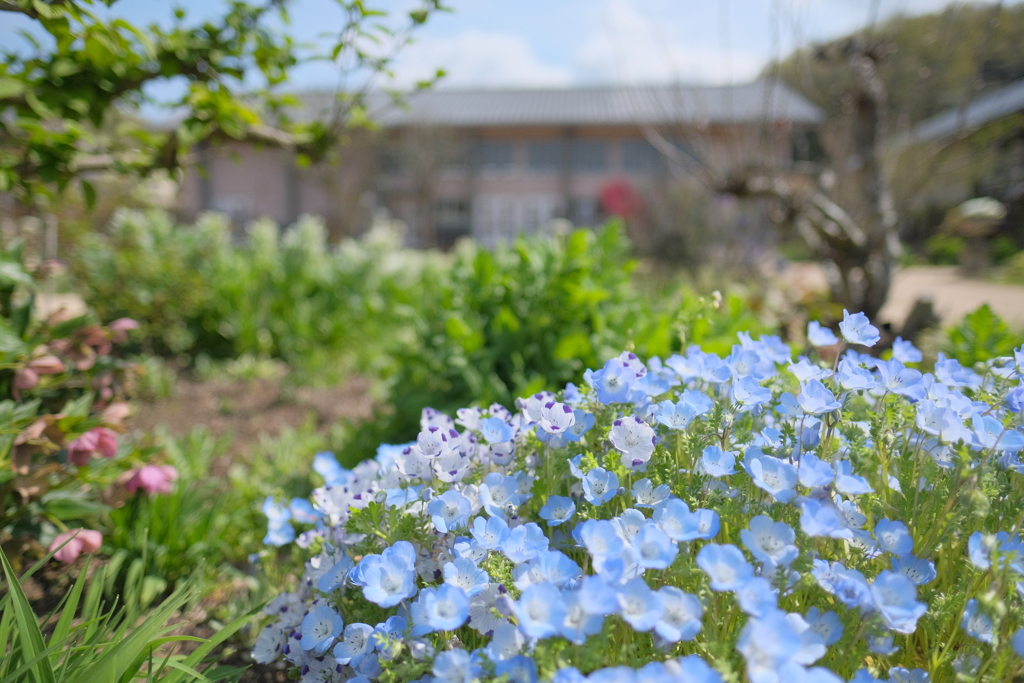 熊山英国庭園