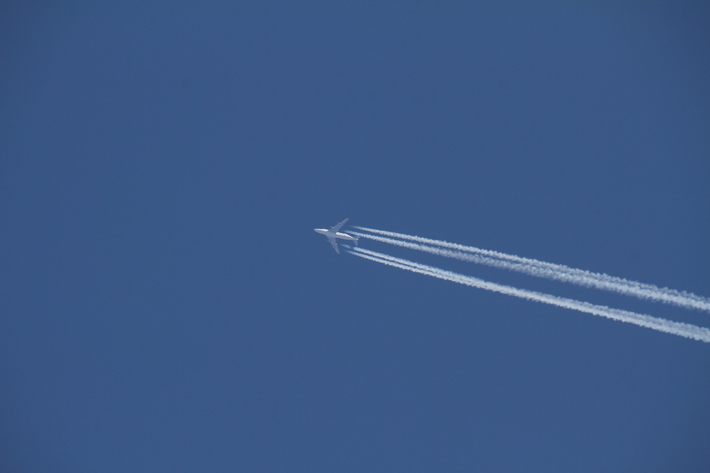 どこの飛行機？