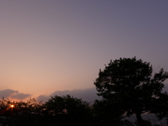 朝