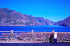 青