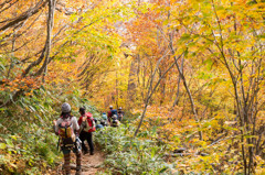 火打山登山