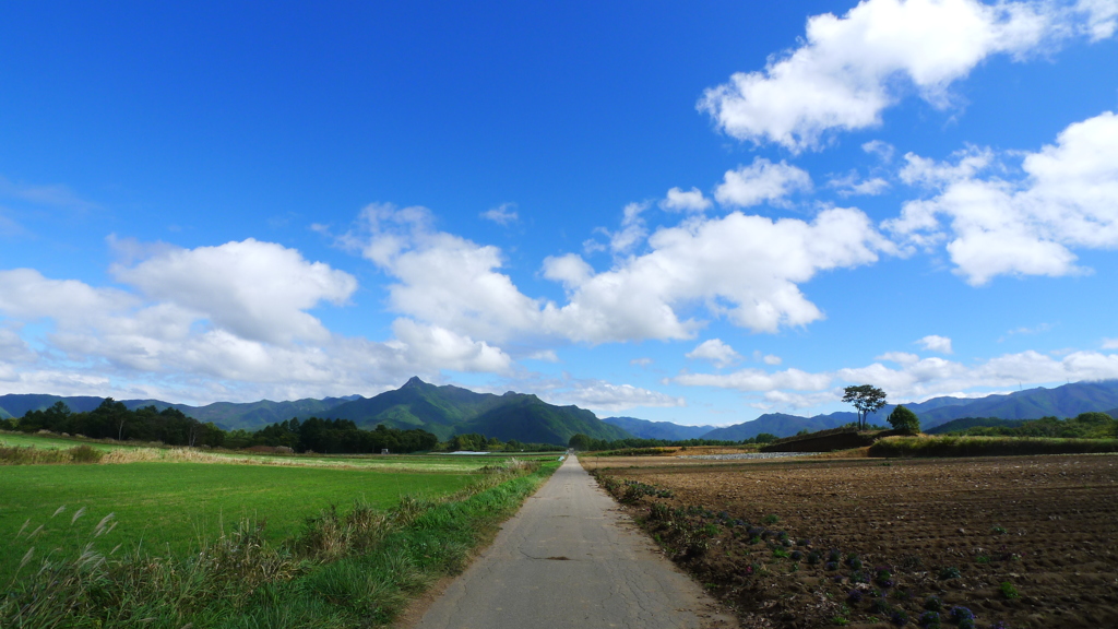 10月 野辺山