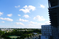 大学のベランダより東京スカイツリーを望む