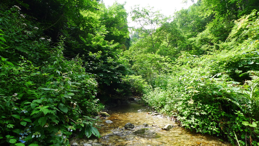 奥会津の沢