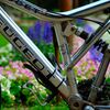 ＭＴＢ