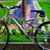 ＭＴＢ