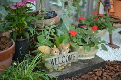 WELCOME