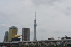 吾妻橋からのスカイツリー