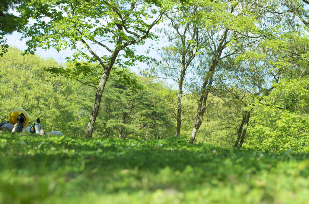 Among the green