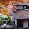 三溪園