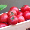 Tomatoとまと