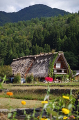 白川郷