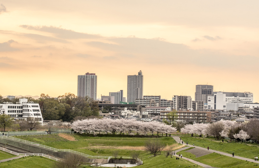 自宅からの風景