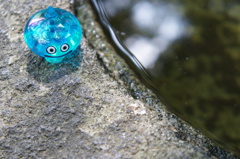 水たまり