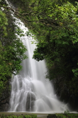 沢柳の滝①