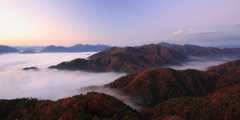 荒谷山雲海紅葉図