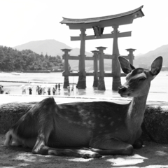 宮島の象徴