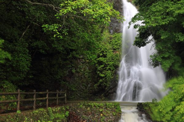 沢柳の滝④