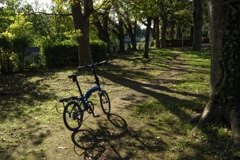 自転車