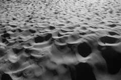 浜