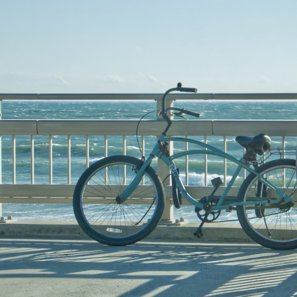 自転車