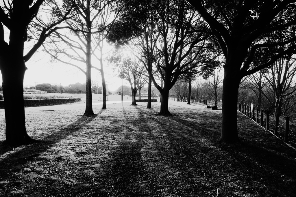 公園