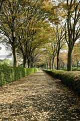 あつぎつつじの丘公園前