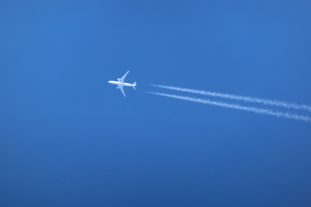 飛行機
