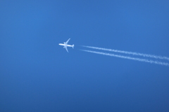 飛行機