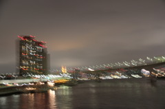 IMG_0554