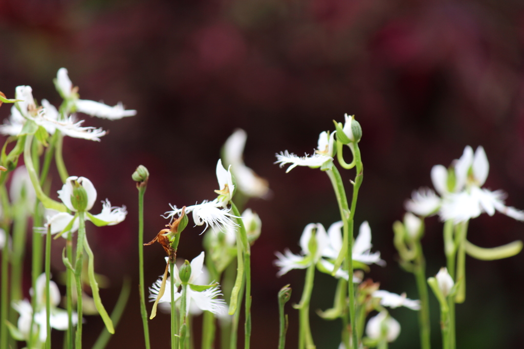 さー　飛び立つぞ！