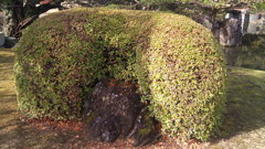 お分かりいただけるだろうか？