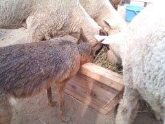こういう所に住んでみたいねシリーズ④