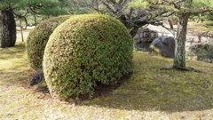 お分かりいただけるだろうか②