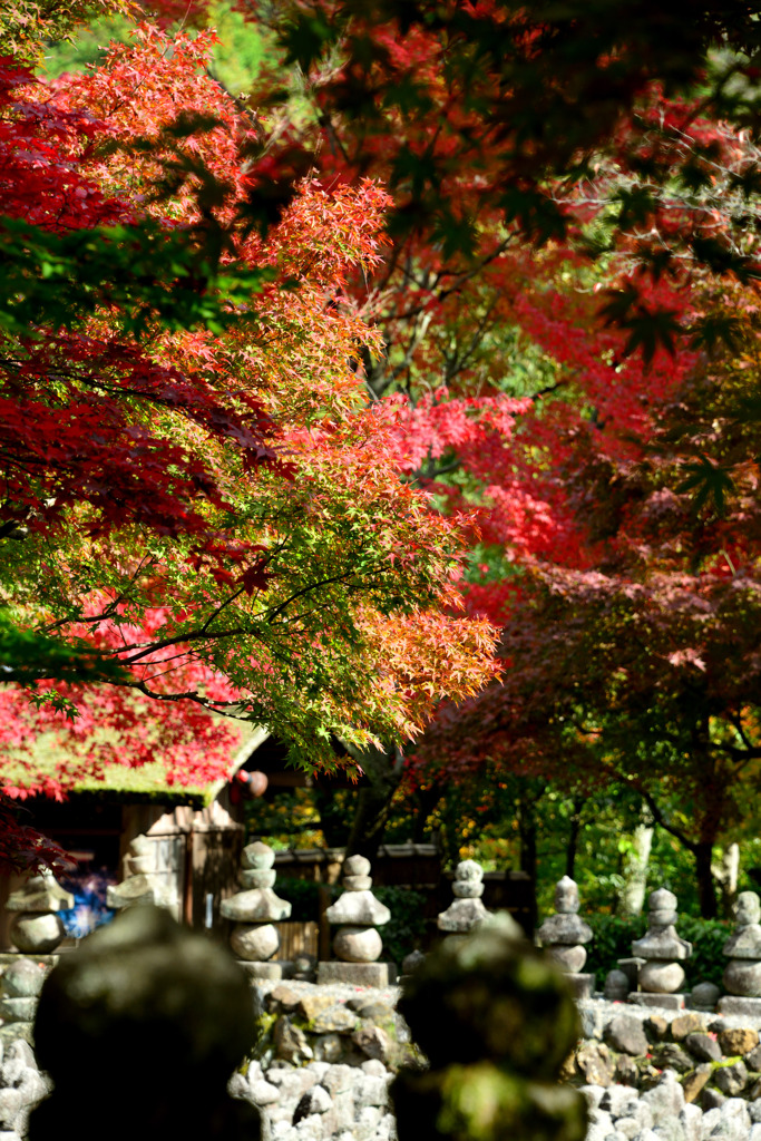 化野念仏寺