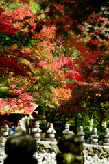 化野念仏寺