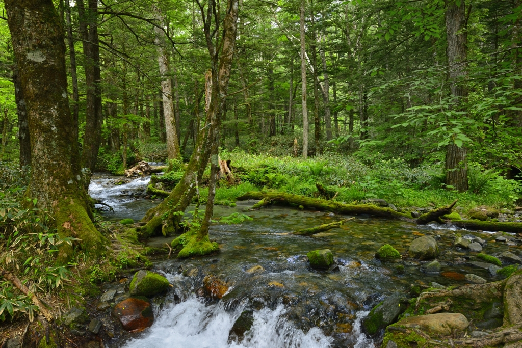 _DSC0021