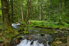 _DSC0021