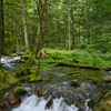_DSC0021