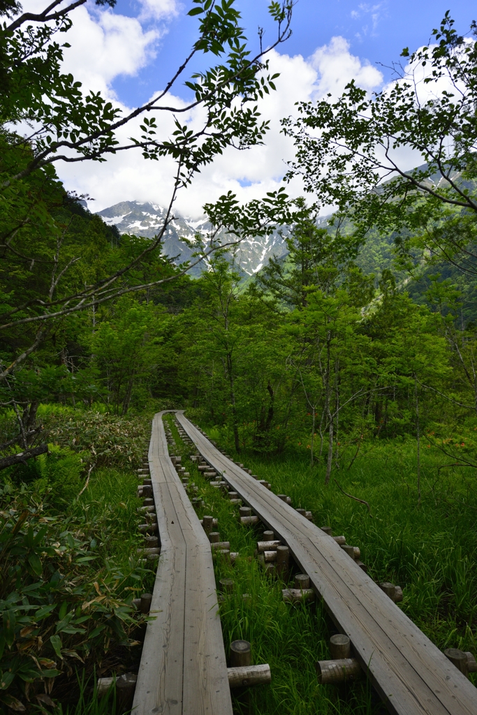 _DSC9995
