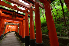 伏見稲荷神社