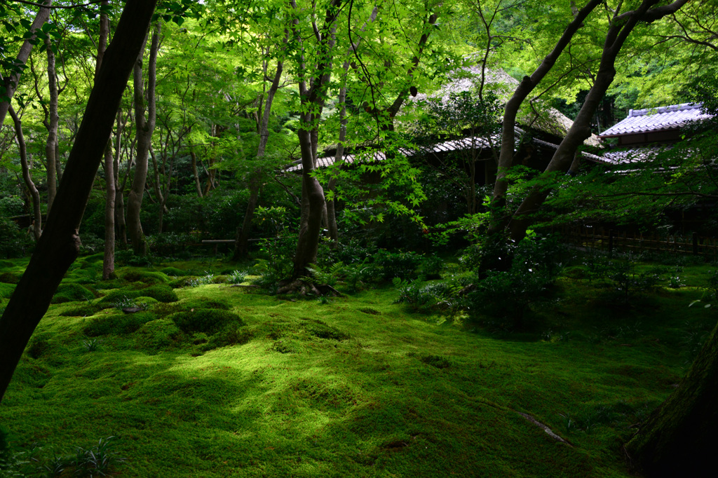 伎王寺