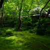 伎王寺