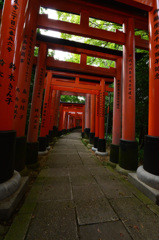 伏見稲荷神社