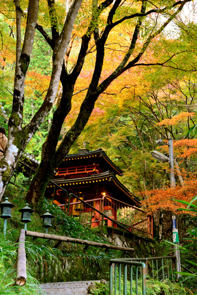 愛宕念仏寺