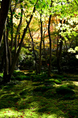 祇王寺