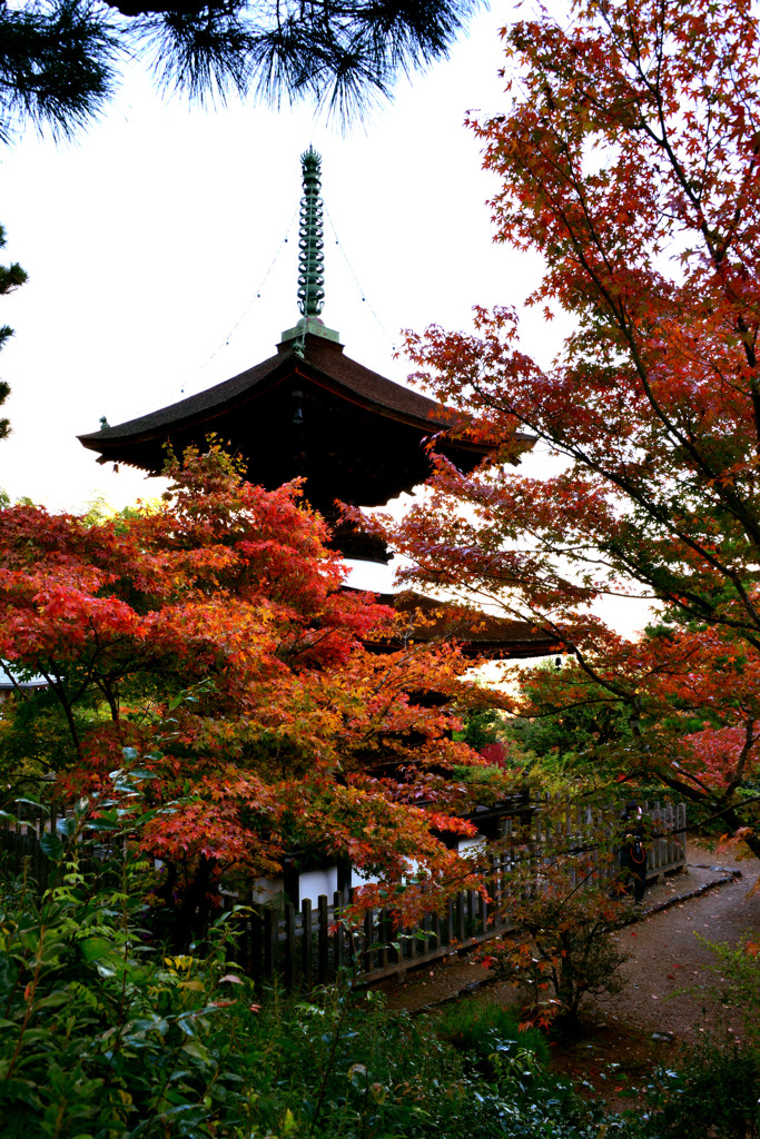 常寂光寺