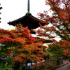 常寂光寺
